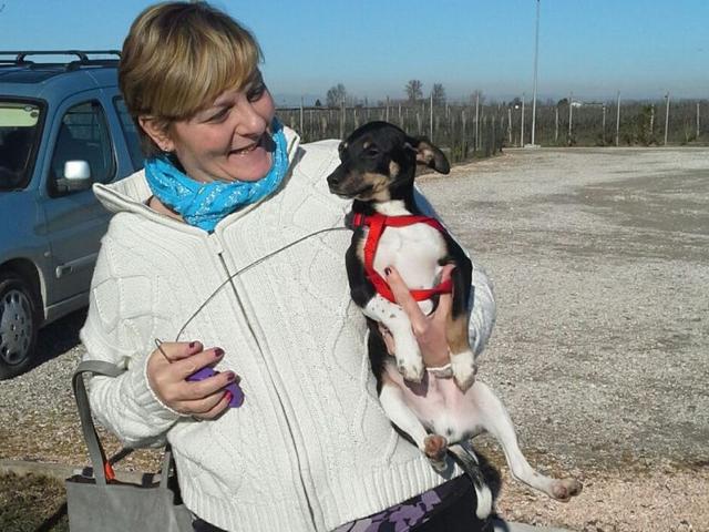 Twingo!
